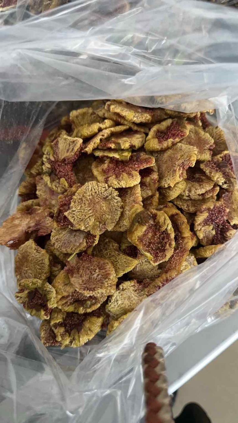 青皮无花果干，无花果条