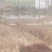 贵州省遵义市绥阳县风华镇。