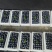 正宗L25花香蓝莓，2.0+。产地直发