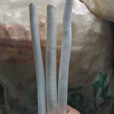 大通草