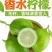 广东香水柠檬