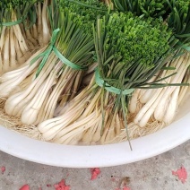 茭头
