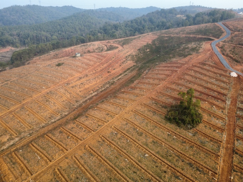 闲置油茶基地土地出租