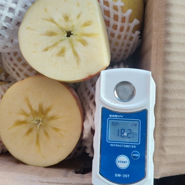 新疆阿克苏苹果