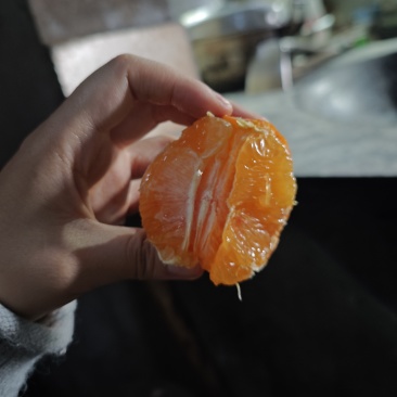 血橙