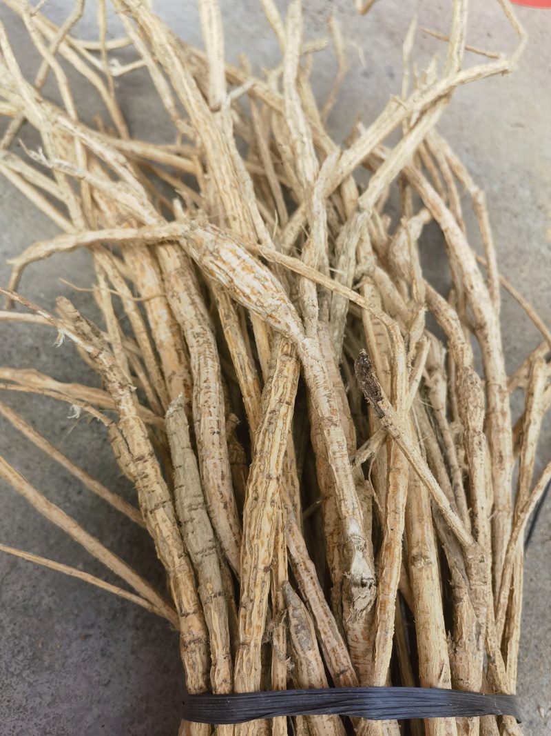 广西十年种植牛大力