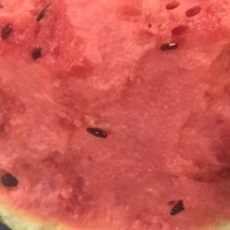 麒麟西瓜