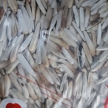 新疆喀什地区当地特色瓜子特好吃想要的老板请速度赶来联系