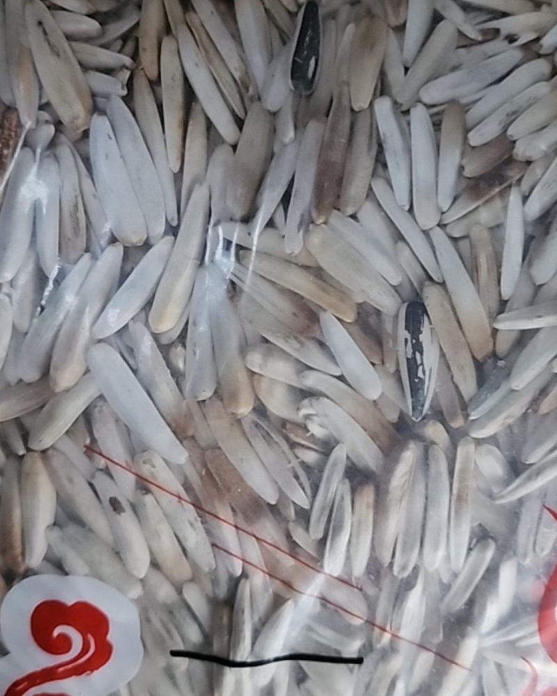新疆喀什地区当地特色瓜子特好吃想要的老板请速度赶来联系