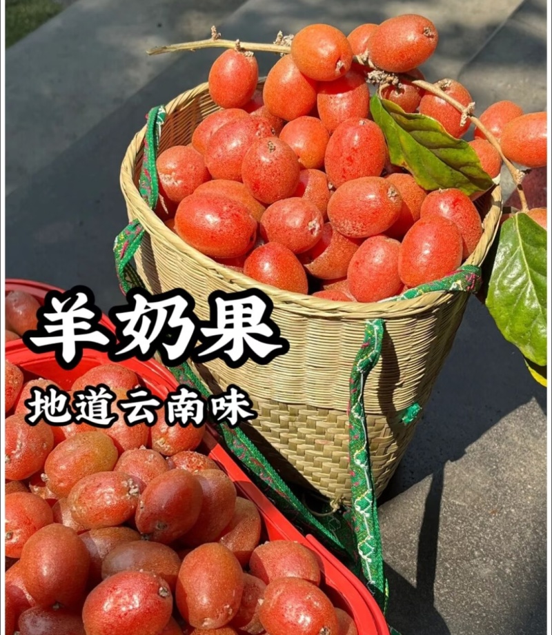纯甜羊奶果云南网红水果稀有水果景区**电商