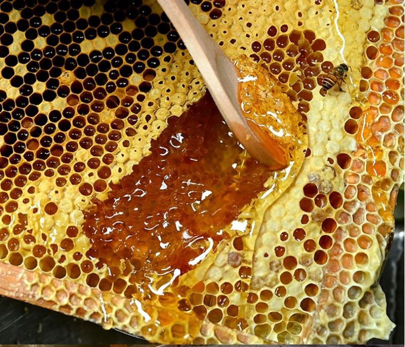 纯野生蜂蜜，假一赔十