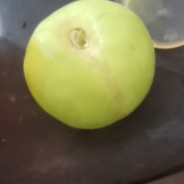 青枣