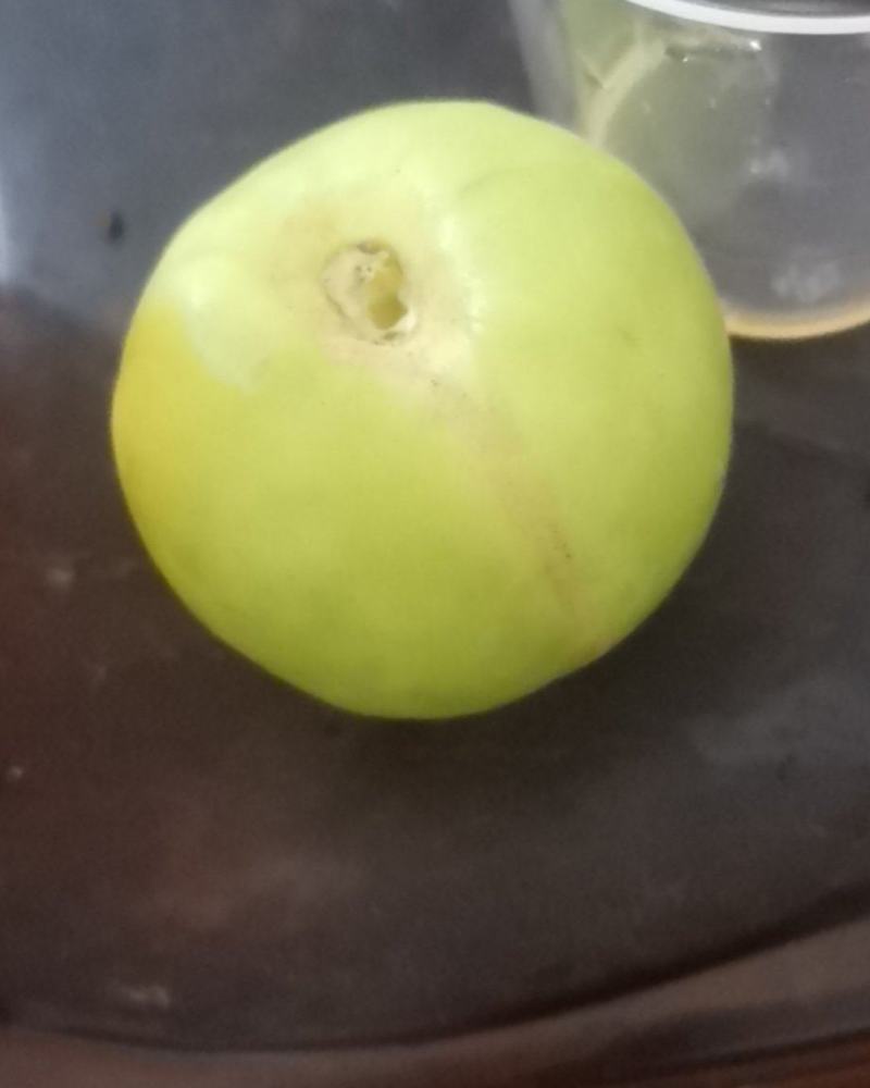 青枣