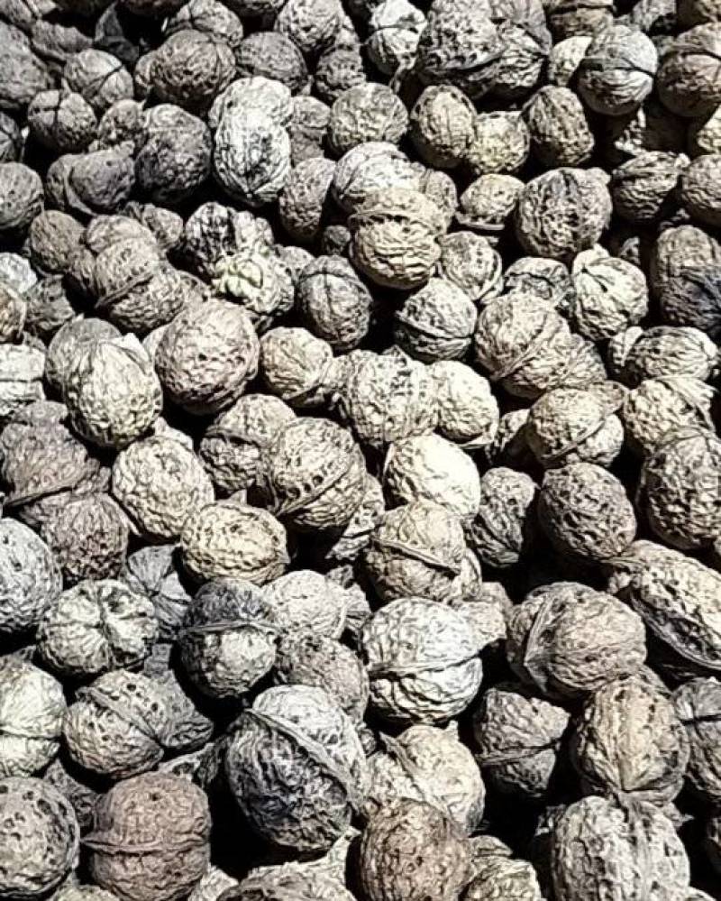 云南白桐干核桃，核桃仁