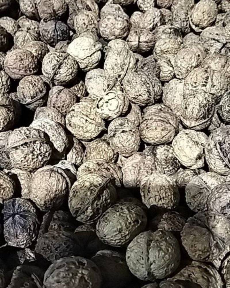 云南白桐干核桃，核桃仁