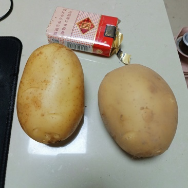 土豆