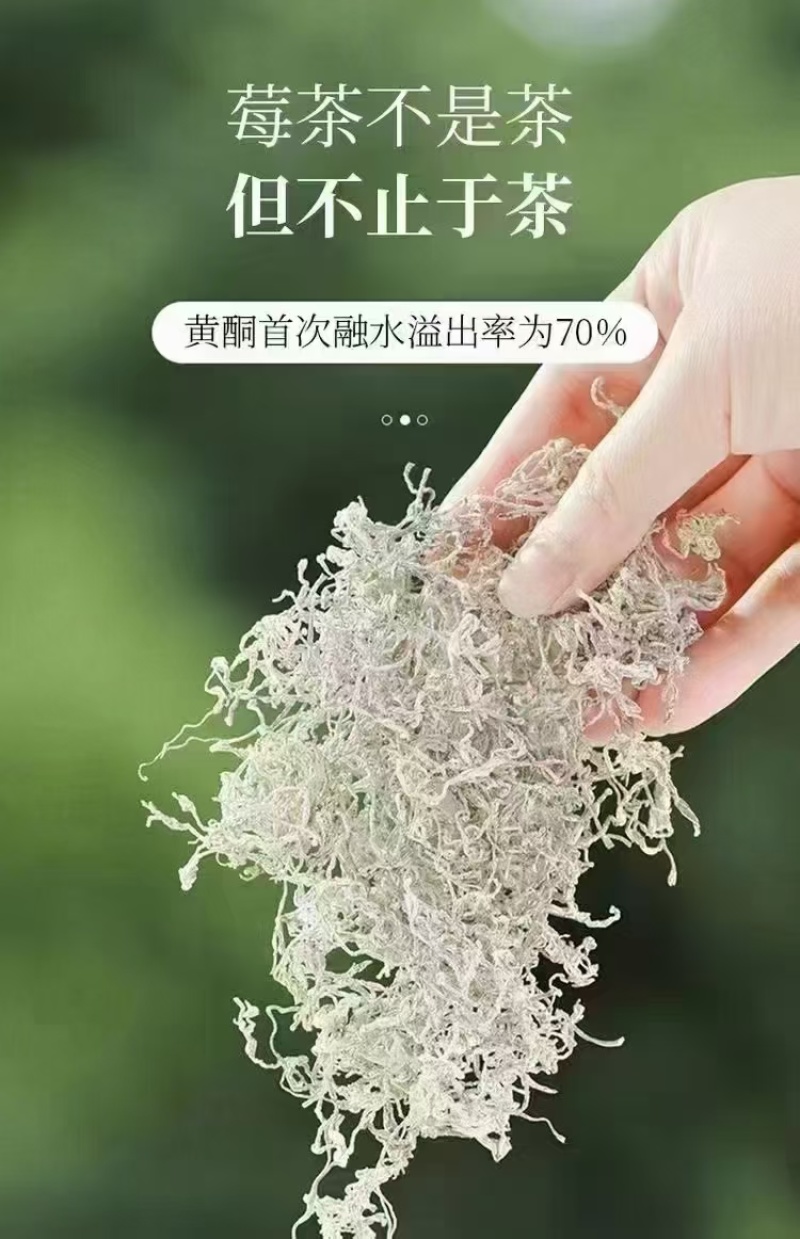 张家界茅沿莓茶