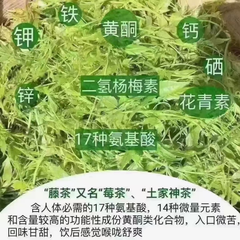 张家界茅沿莓茶