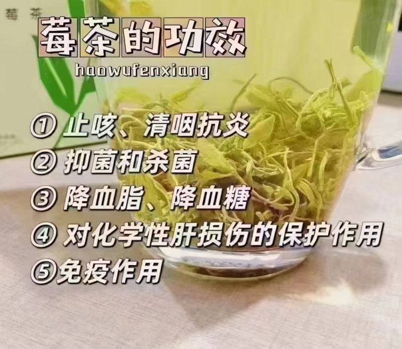 张家界茅沿莓茶