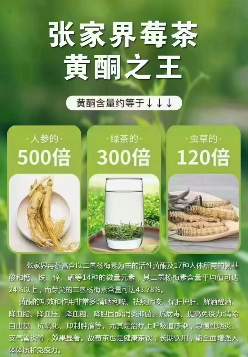 张家界茅沿莓茶