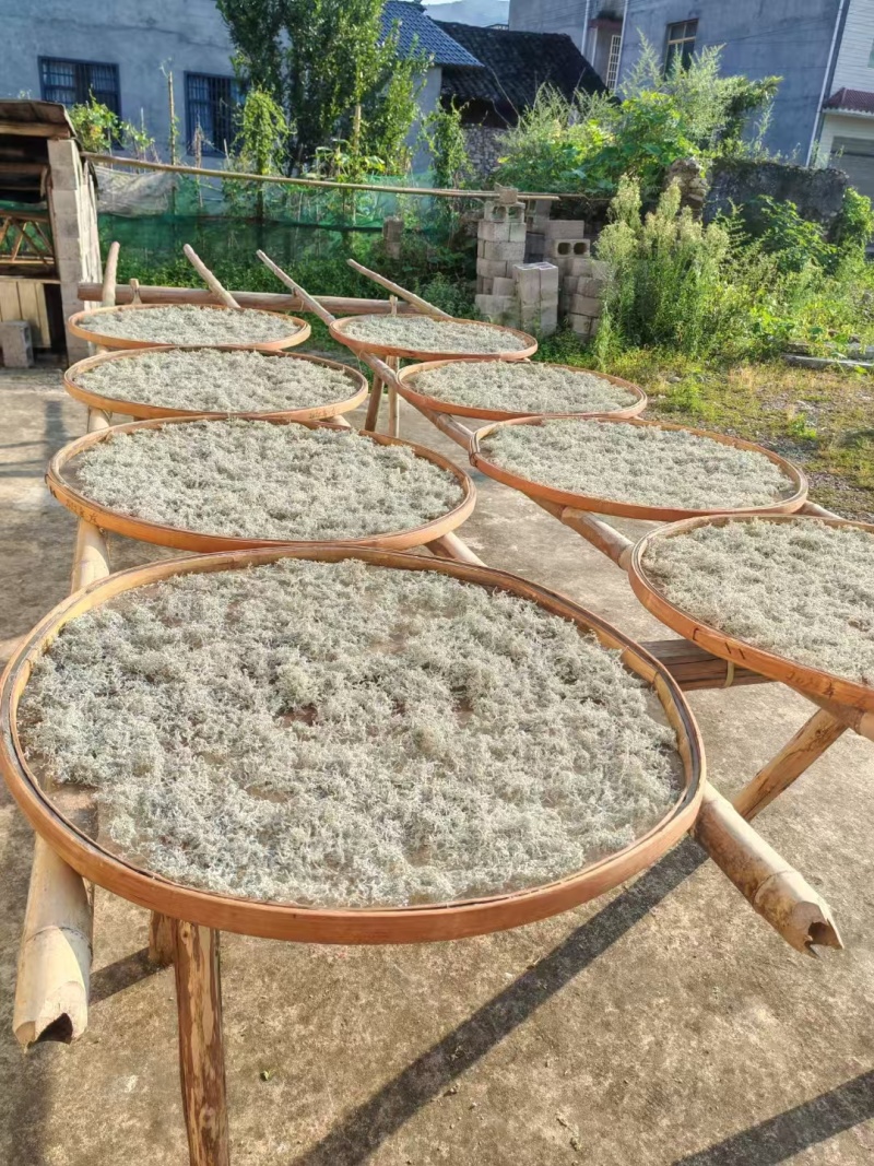 张家界茅沿莓茶
