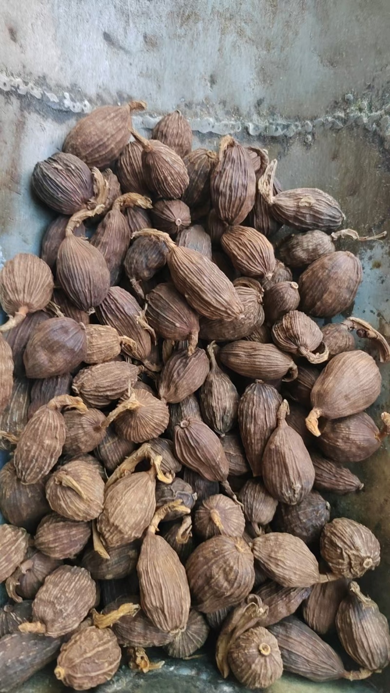 云南文山州马关县火烤草果