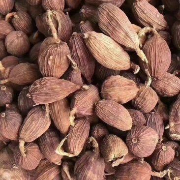 云南文山州马关县火烤草果