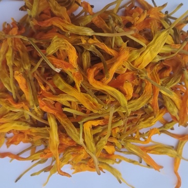 台湾黄花菜