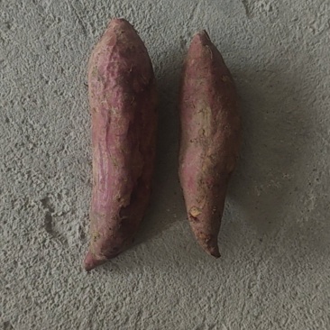 红薯（西瓜红）