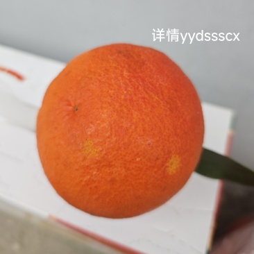 血橙，自家种的，今年没时间去零售，便宜卖了，一元一斤，通货，