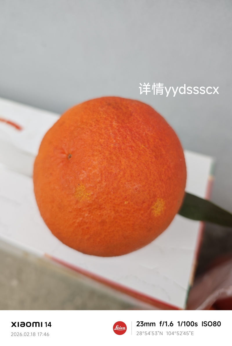 血橙，自家种的，今年没时间去零售，便宜卖了，一元一斤，通货，