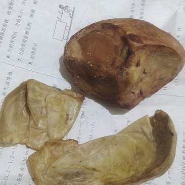 农村土鸡鸡宝