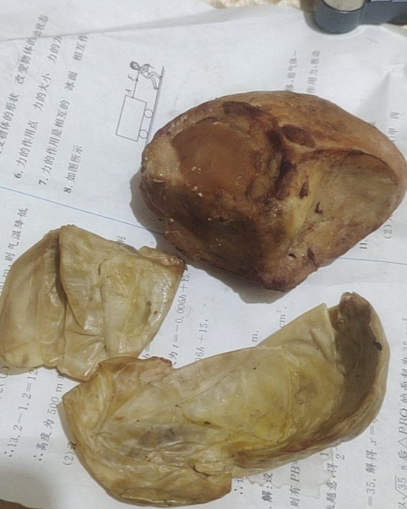 农村土鸡鸡宝
