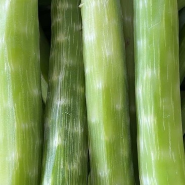 干货批发厂家