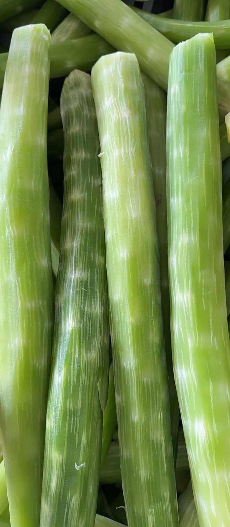 干货批发厂家