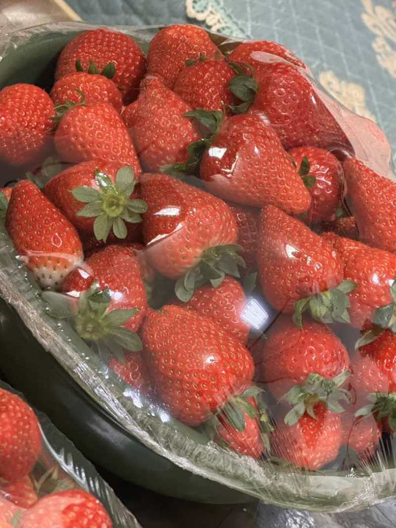 刘家峡奶油草莓