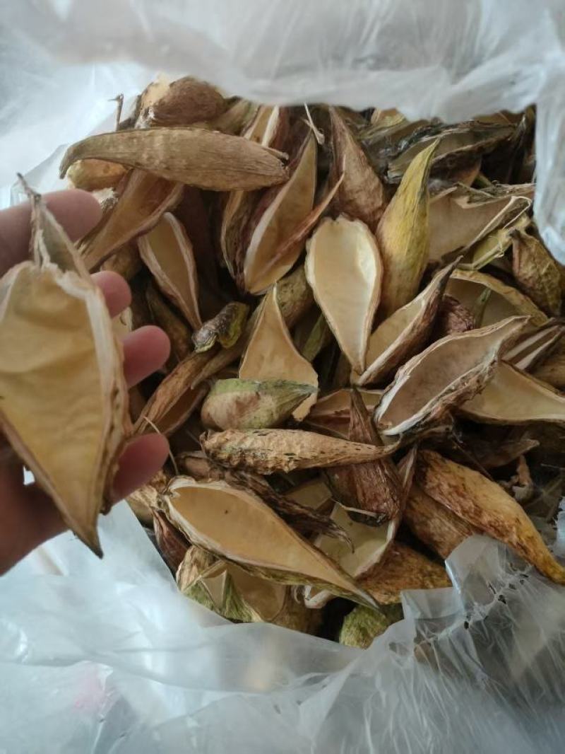 天浆壳罗摩壳野生药材10元一斤