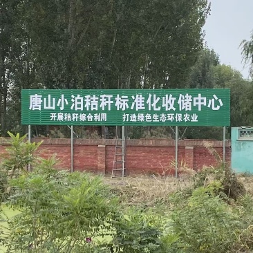 稻草，长稻草，铡断稻草，喂牛饲草