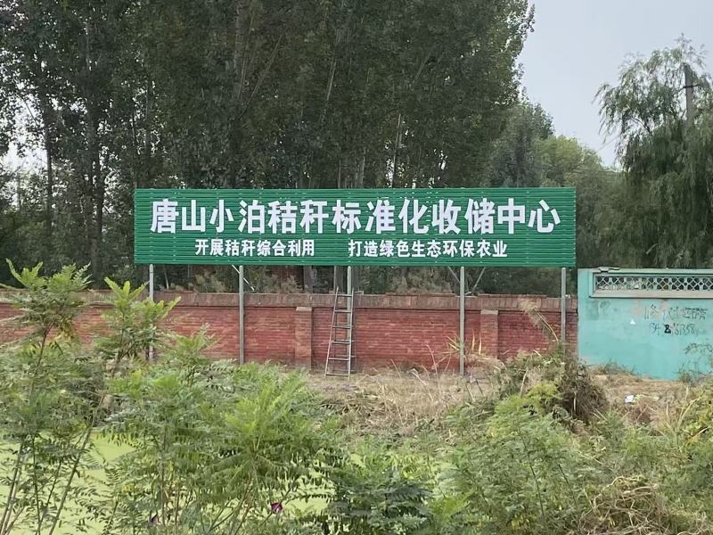 稻草，长稻草，铡断稻草，喂牛饲草