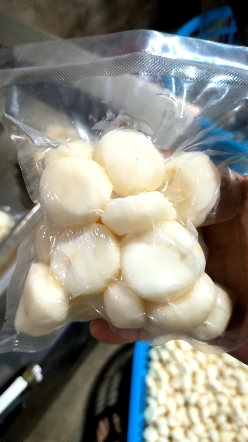 没泡水干白真空白马蹄