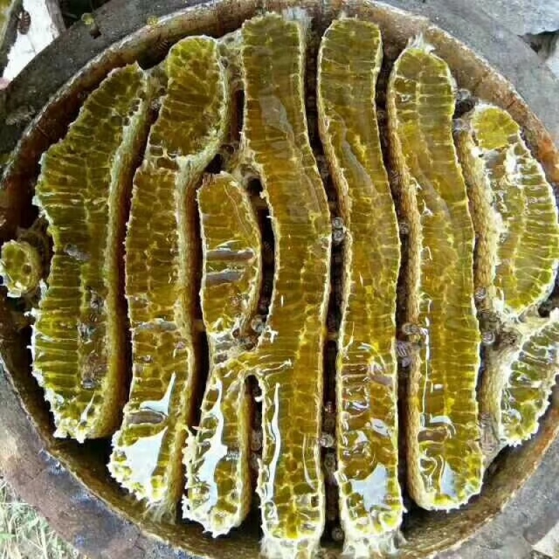 土蜂蜜