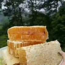 土蜂蜜
