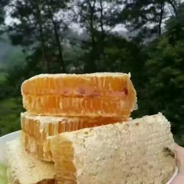土蜂蜜