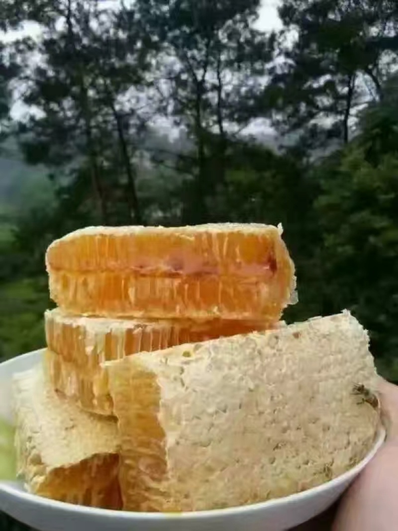土蜂蜜