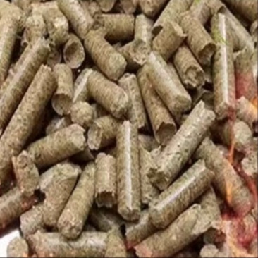 生物颗粒