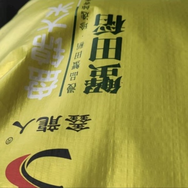 大米