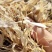 柔丝草块