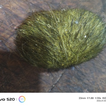 我卖猪宝，约500克左右