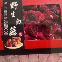 红菇