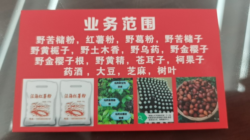 纯野生的乌药